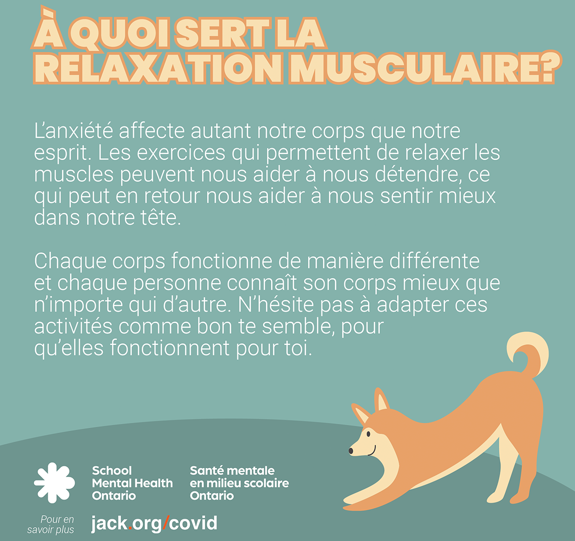 La relaxation musculaire